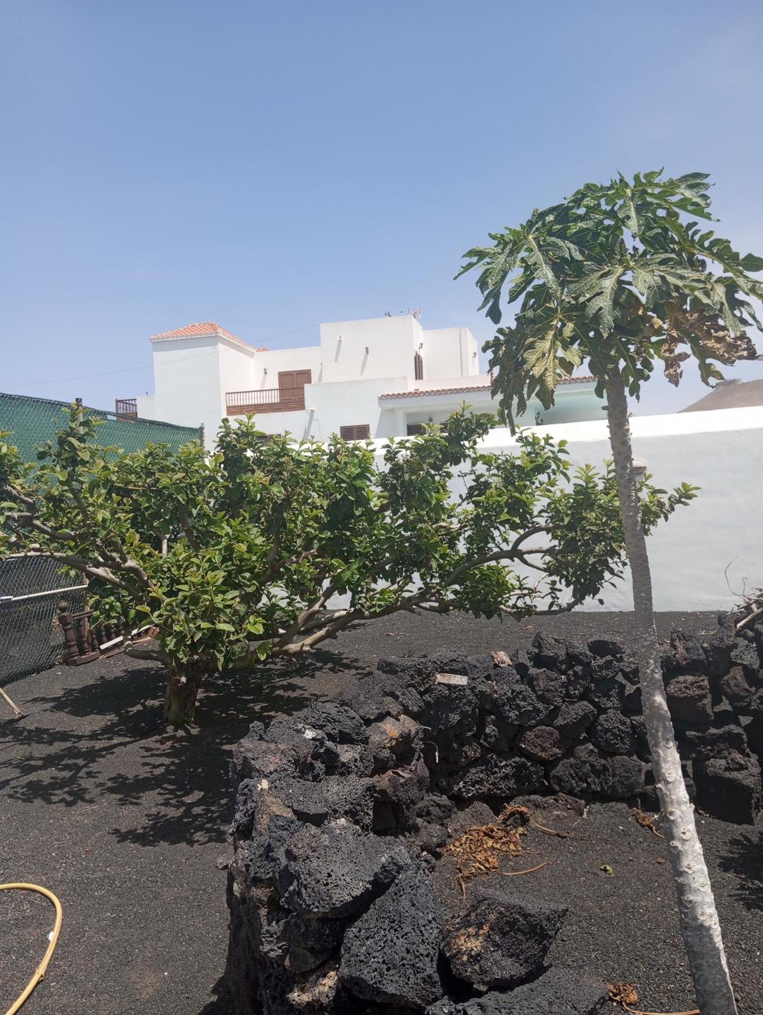 Casa Siempreviva Villa Teguise  Eksteriør bilde