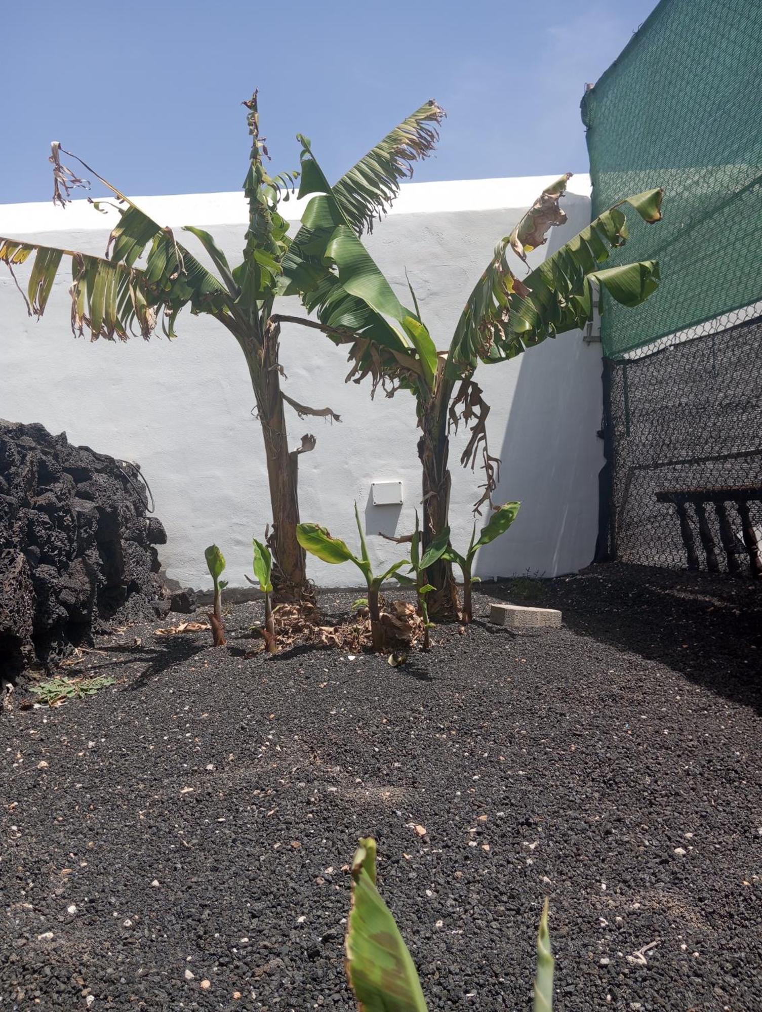 Casa Siempreviva Villa Teguise  Eksteriør bilde